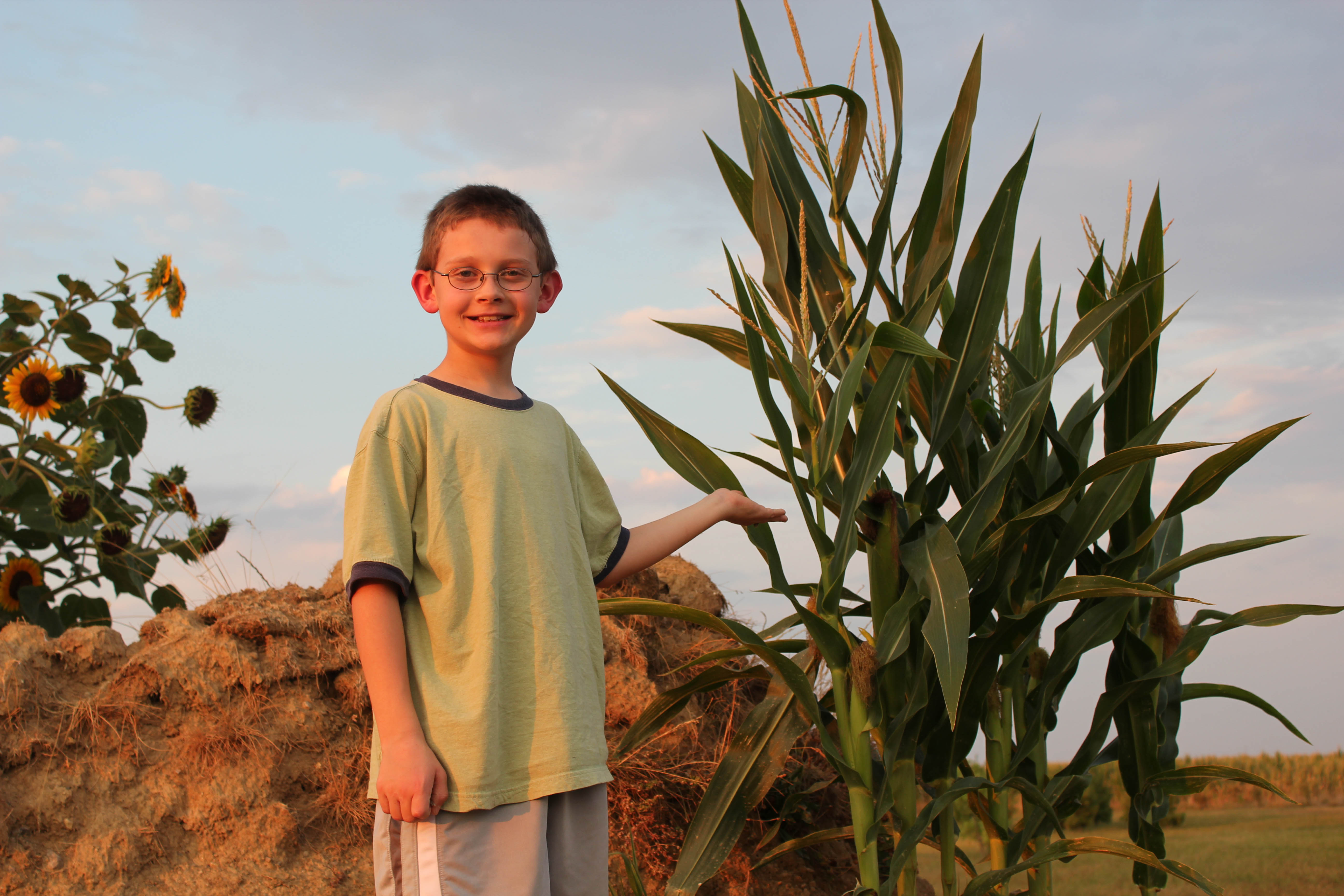 A block diagram of the final Perpetual Paper board design. At the top, a battery feds in to two regulators