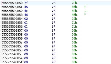 Screenshot of Ghidra showing ELF file in memory