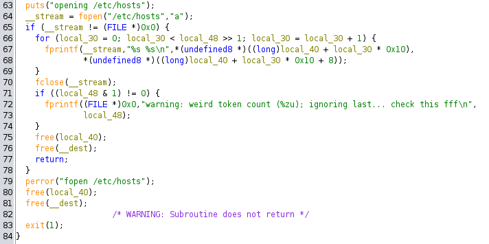 Screenshot of Ghidra showing the write to /etc/hosts function